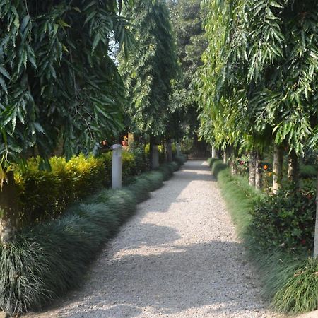 River View Jungle Camp Sauraha Oda fotoğraf