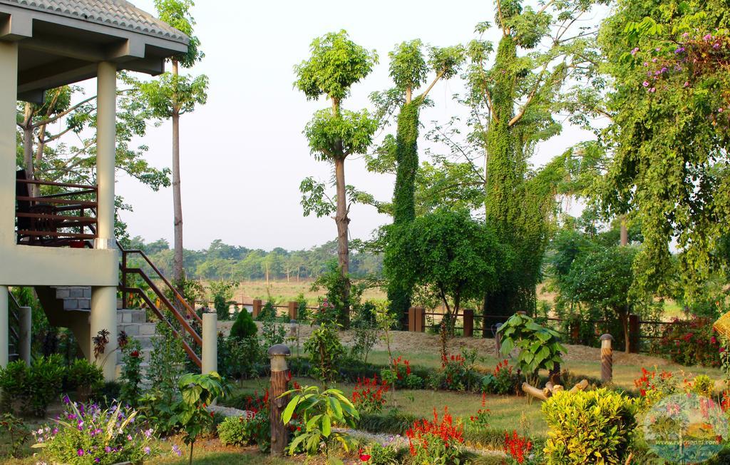 River View Jungle Camp Sauraha Dış mekan fotoğraf