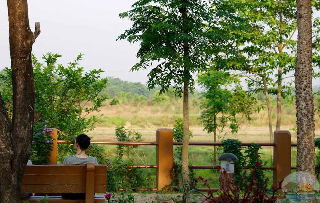 River View Jungle Camp Sauraha Dış mekan fotoğraf