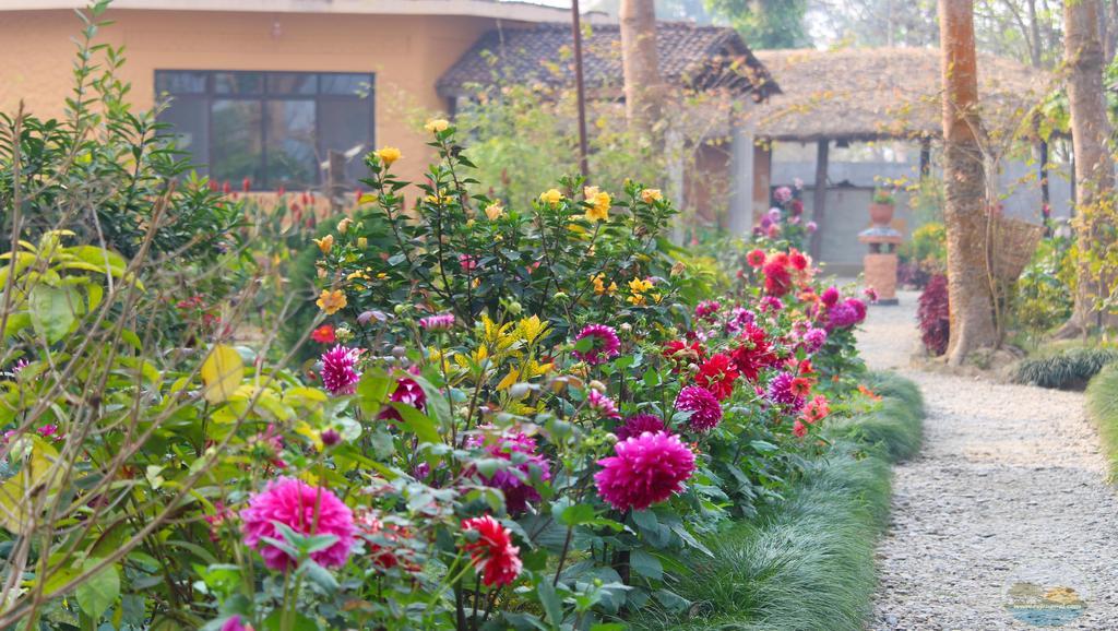 River View Jungle Camp Sauraha Dış mekan fotoğraf