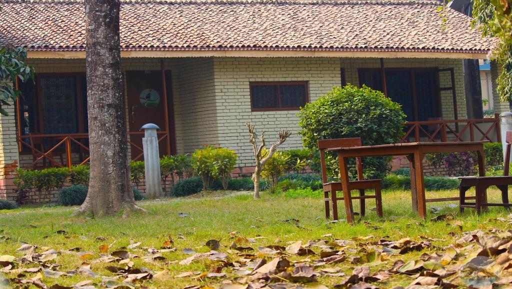 River View Jungle Camp Sauraha Dış mekan fotoğraf