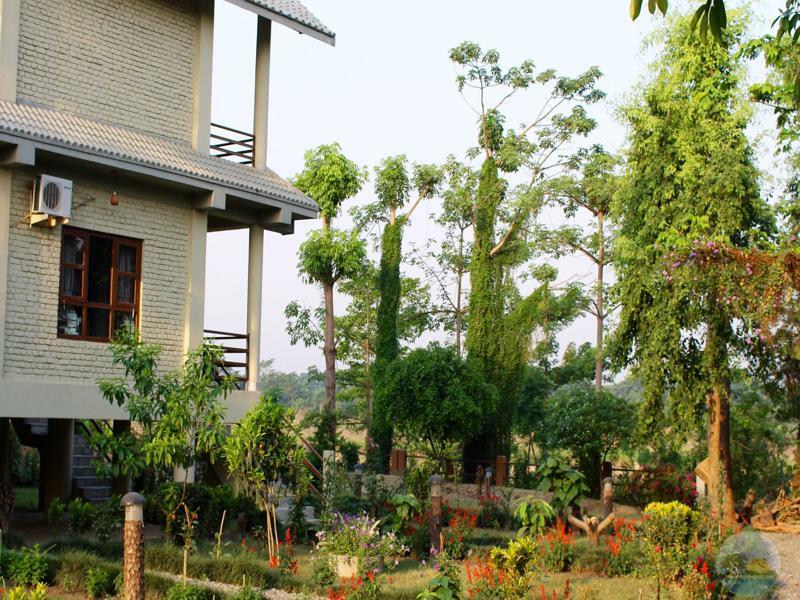 River View Jungle Camp Sauraha Dış mekan fotoğraf