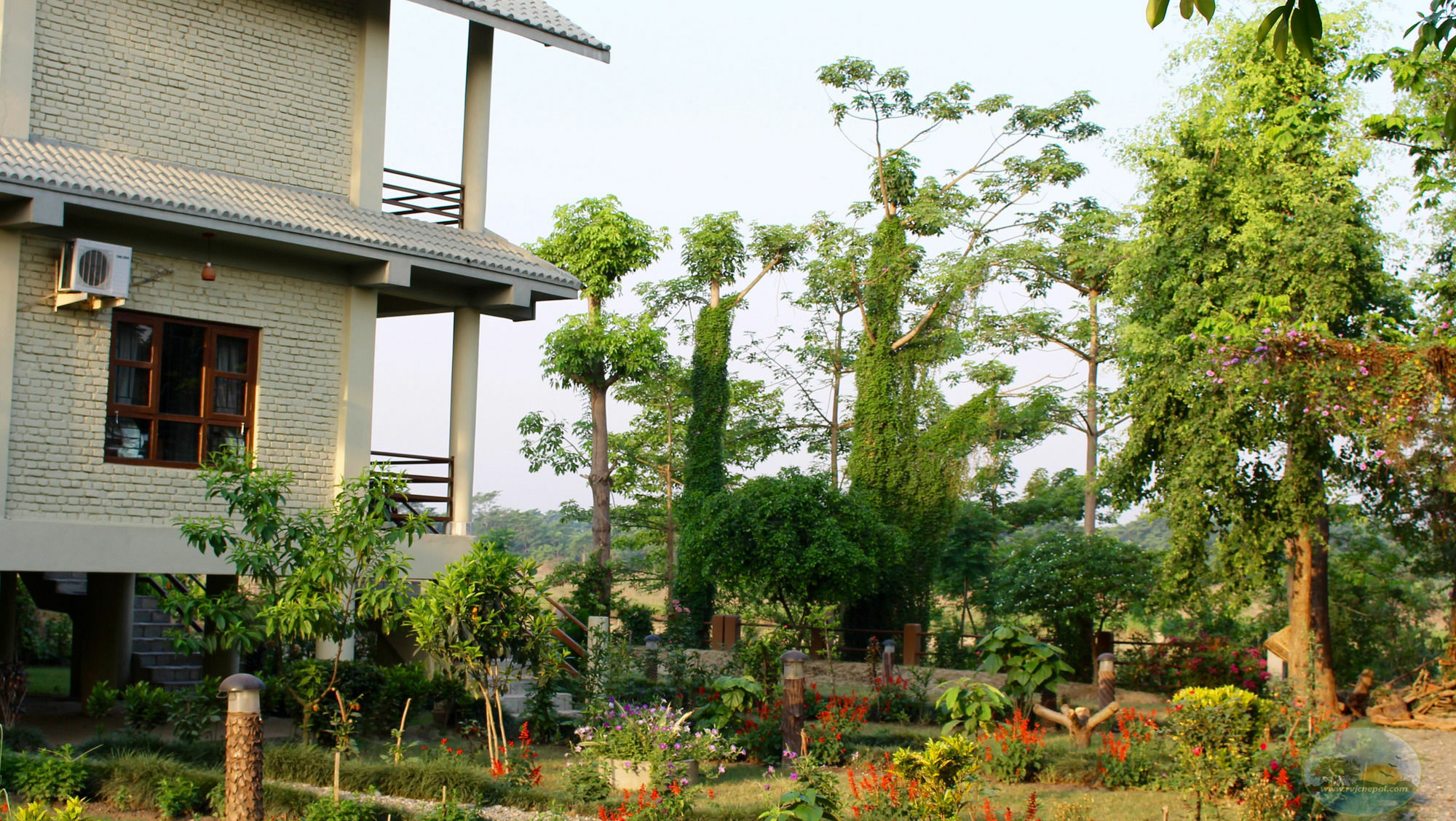 River View Jungle Camp Sauraha Dış mekan fotoğraf