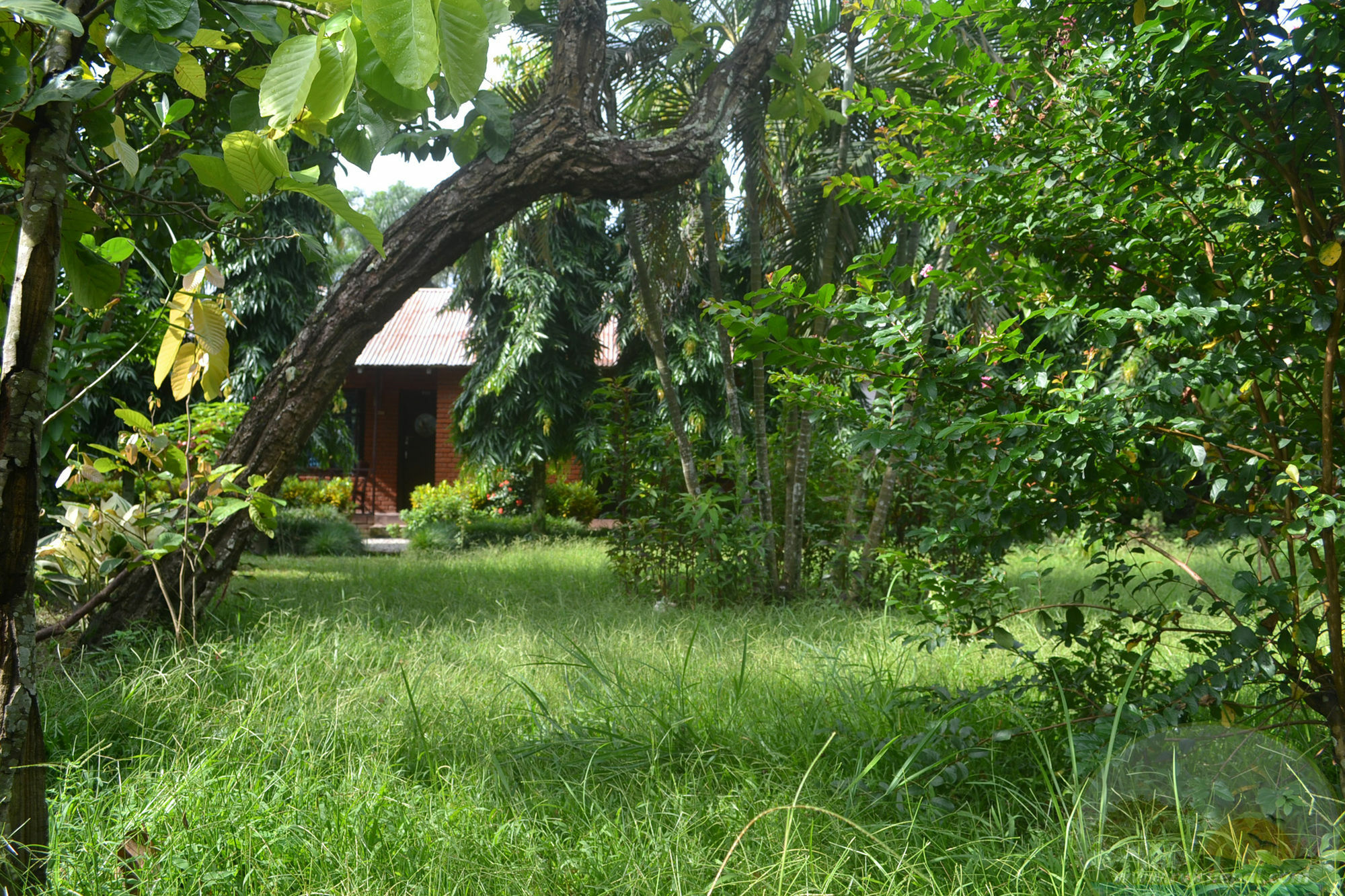 River View Jungle Camp Sauraha Dış mekan fotoğraf