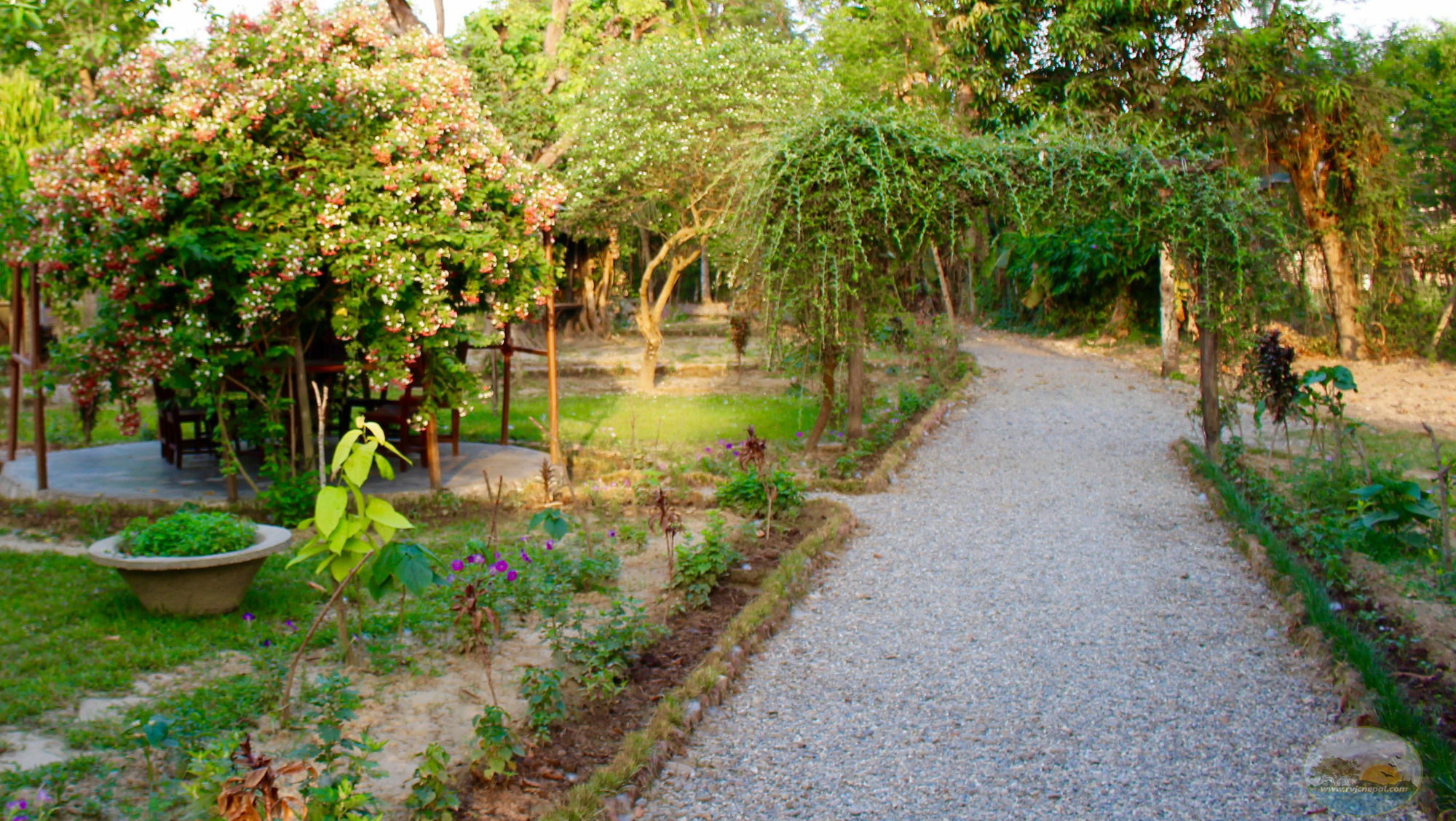 River View Jungle Camp Sauraha Dış mekan fotoğraf
